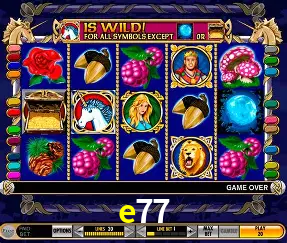 VIP Casino e77